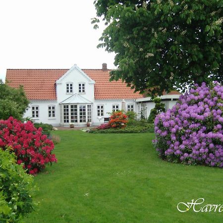 Havrevang Billund Exterior foto